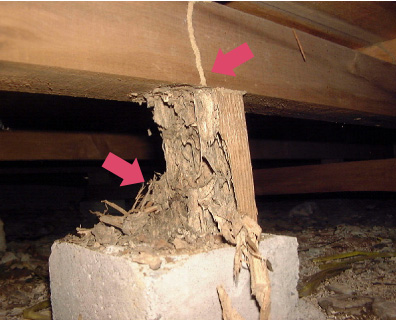 木造住宅の床下束柱への被害