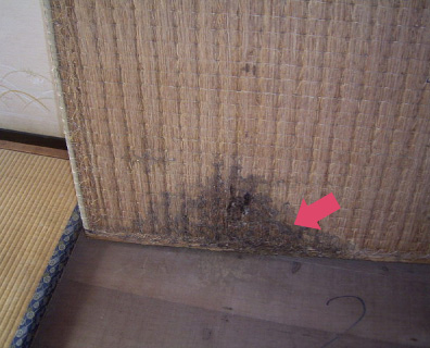 畳への被害