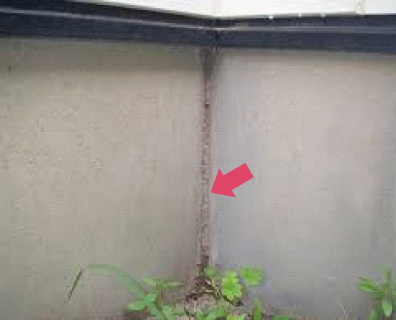 基礎の外側から上がる蟻道